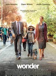 Wonder